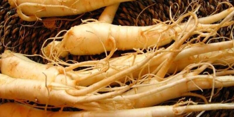 rădăcină de ginseng pentru a crește potența